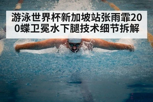 游泳世界杯新加坡站张雨霏200蝶卫冕水下腿技术细节拆解