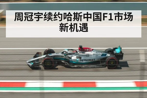 Zhou Guanyu F1