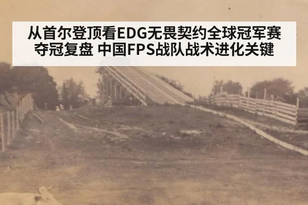 从首尔登顶看EDG无畏契约全球冠军赛夺冠复盘 中国FPS战队战术进化关键
